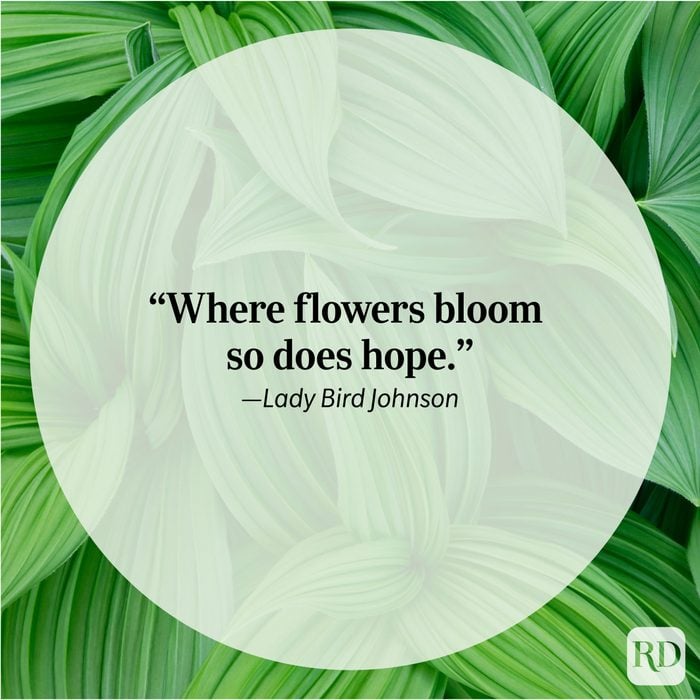 Nature Quote By Lady Bird Johnson