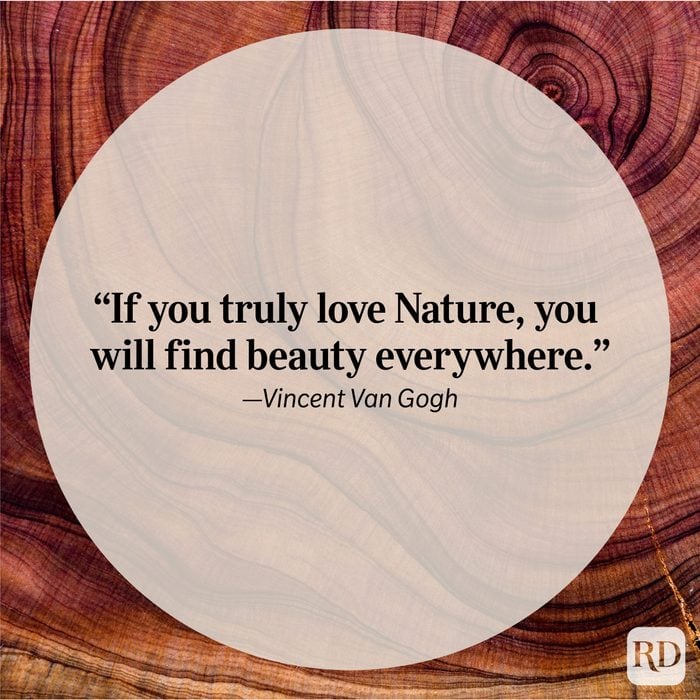Nature Quote By Vincent Van Gogh