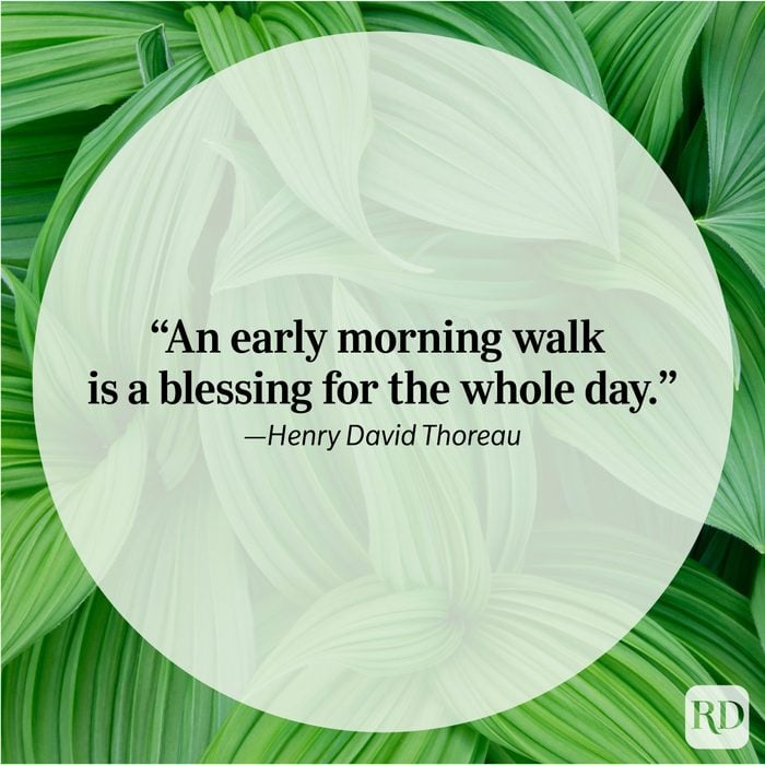 Nature Quote By Henry David Thoreau