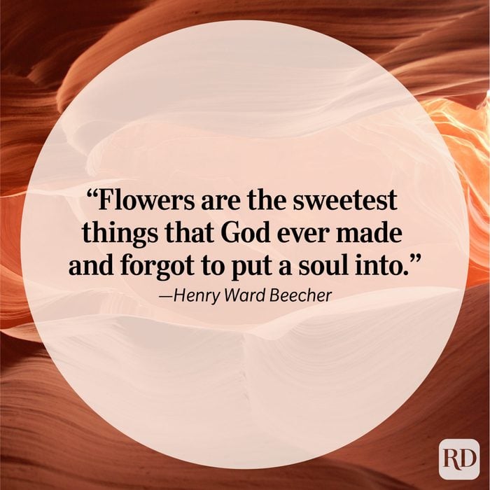 Nature Quote By Henry Ward Beecher