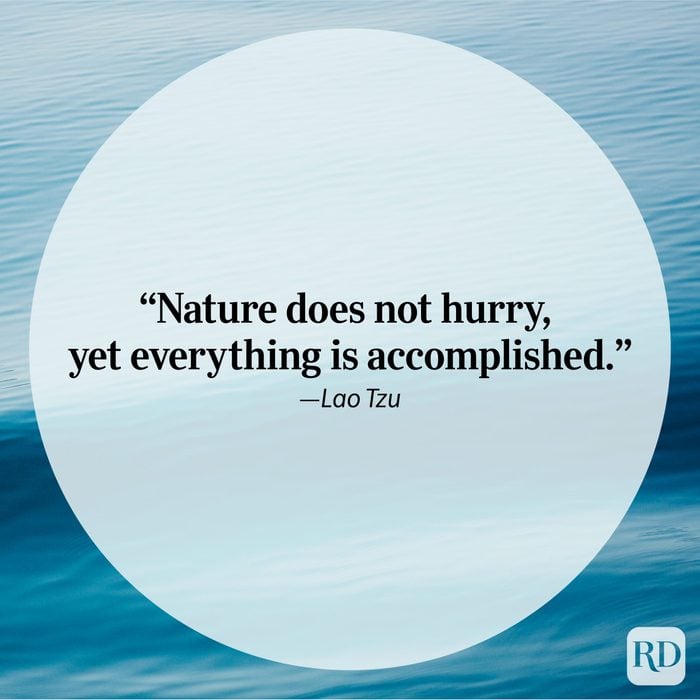 Nature Quote By Lao Tzu