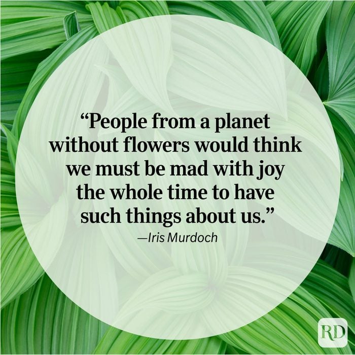 Nature Quote By Iris Murdoch