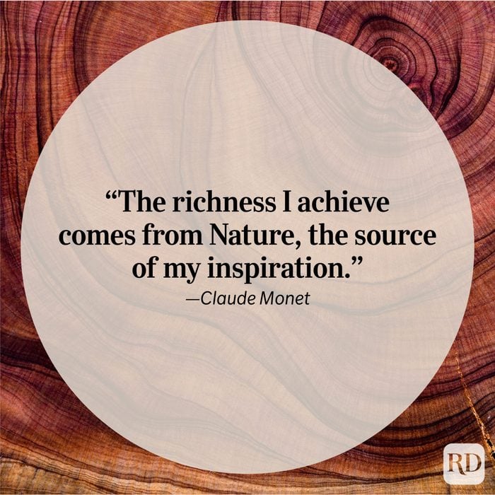 Nature Quote By Claude Monet