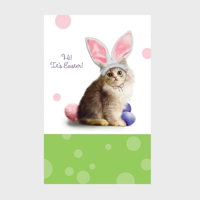 Purr-Fect Easter Card