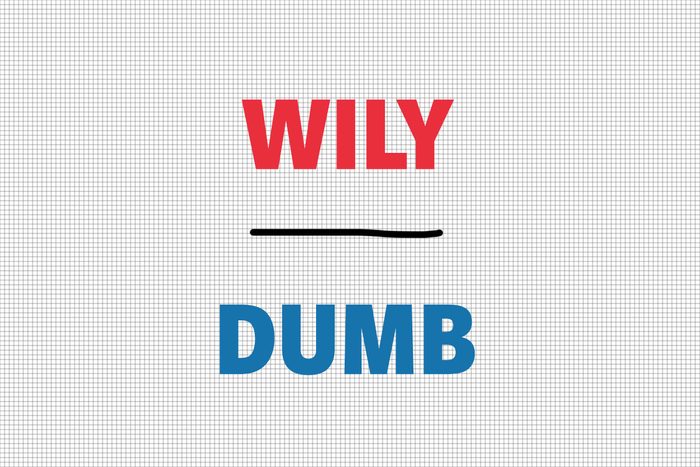 Wily/Dumb