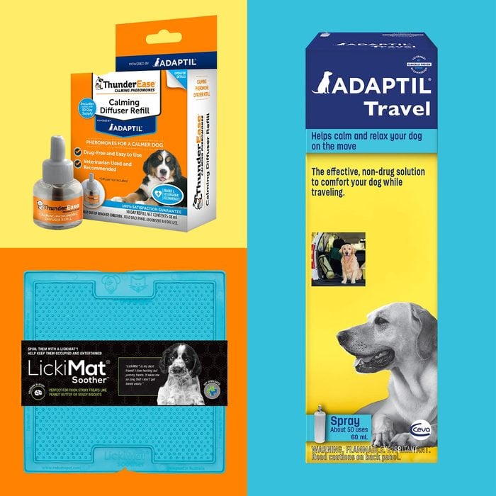 11 Products That Could Help Your Dog's Anxiety