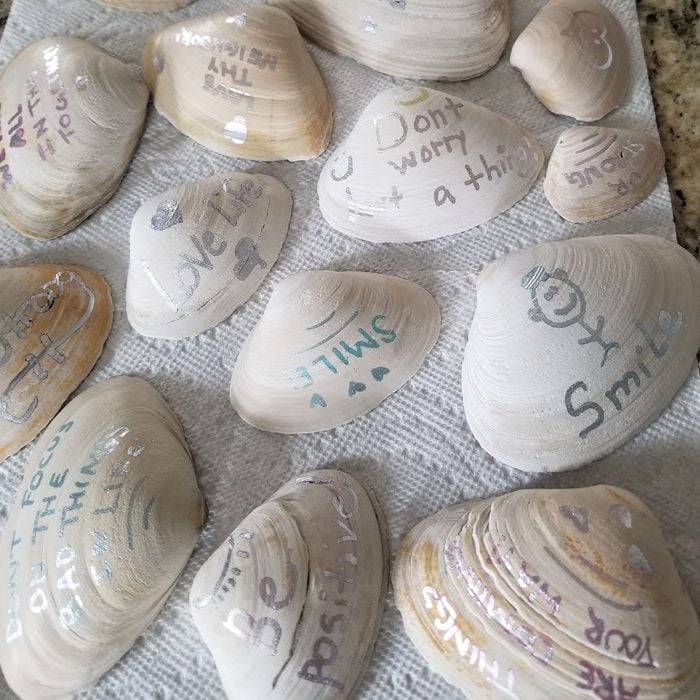 seashells with writing on them