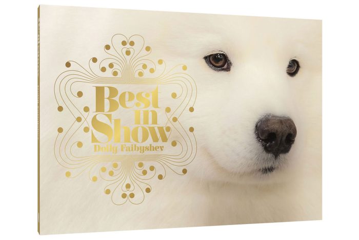 Best in Show cover