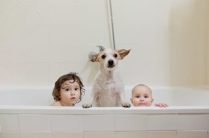 Two brothers take a bath with the dog