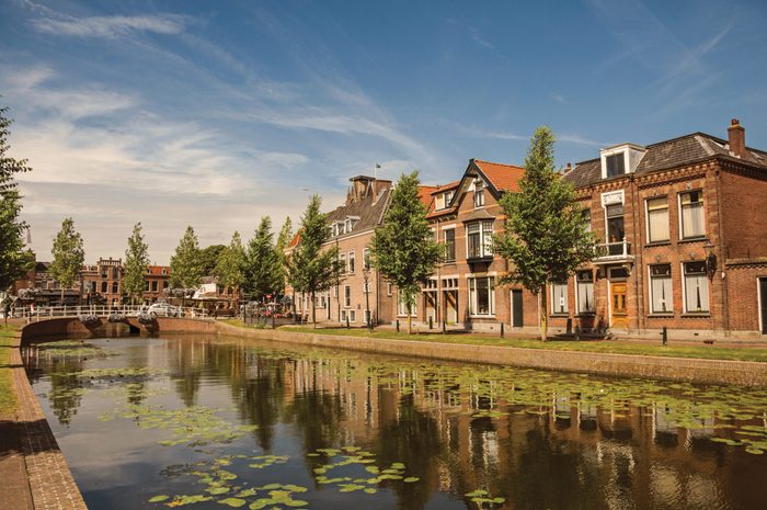Canal with aquatic plants, brick houses and bridge in Weesp