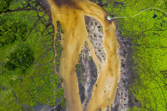 Aerial view of a bai (saline, mineral clearing) in the rainforest, Congo