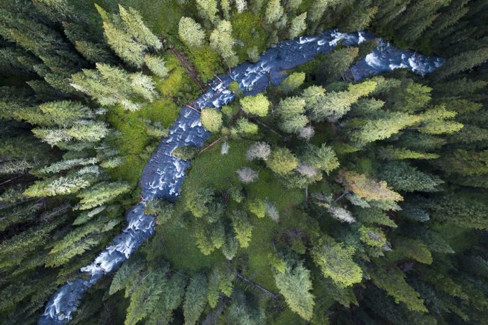 Drone point of view on Hyalite creek running through the forest of Montana