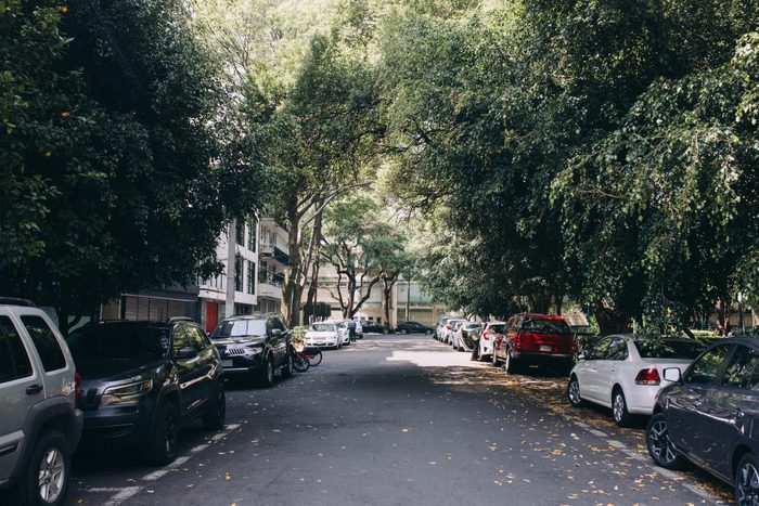 Street lined with cars and trees in Mexico City, Mexico