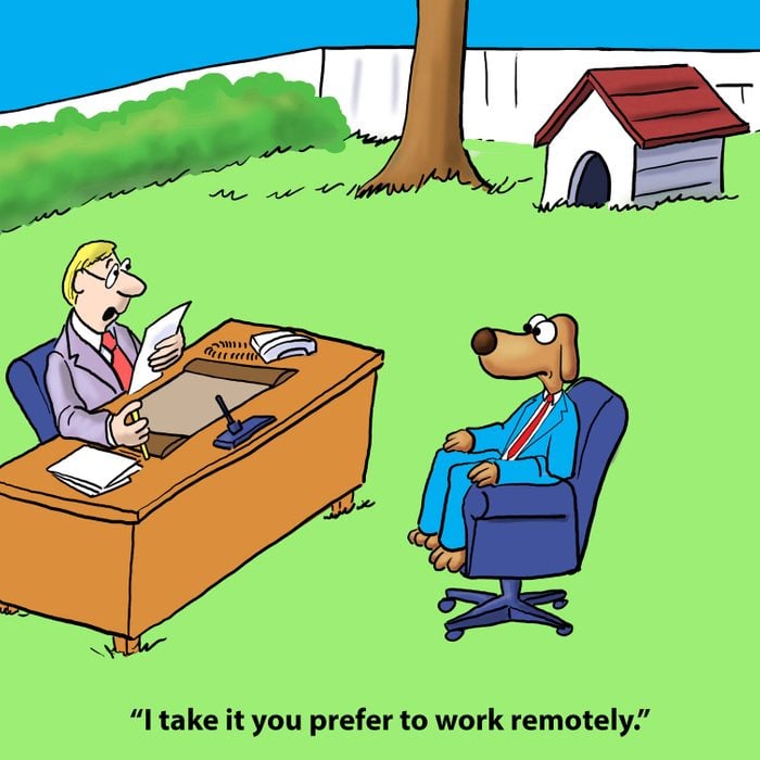 Dog prefers to work remotely
