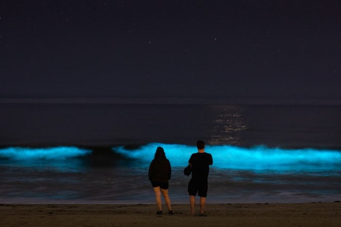 Bioluminescent waves glow off Hermosa Beach, California
