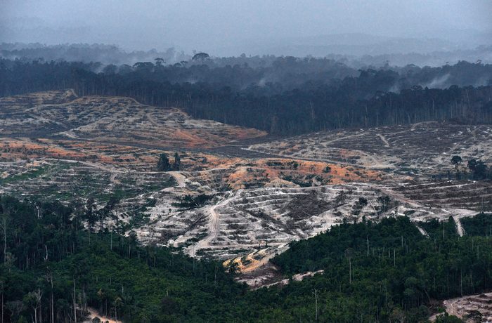INDONESIA-US-ENVIRONMENT-FORESTS-COMPANY-PROCTER