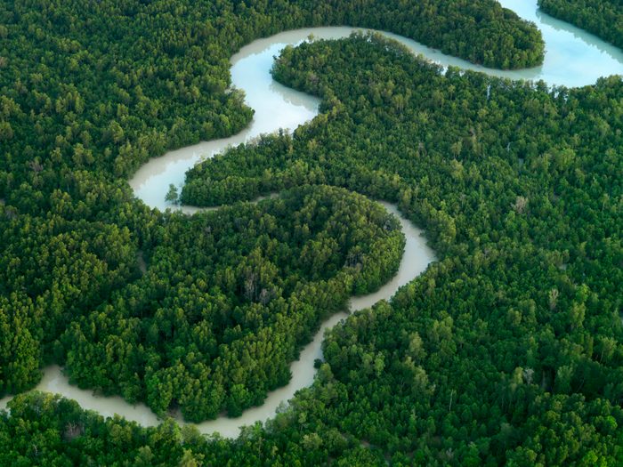 Meandering river in forest in Malaysia
