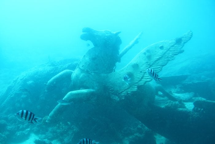 Fish Swimming By Statue In Sea