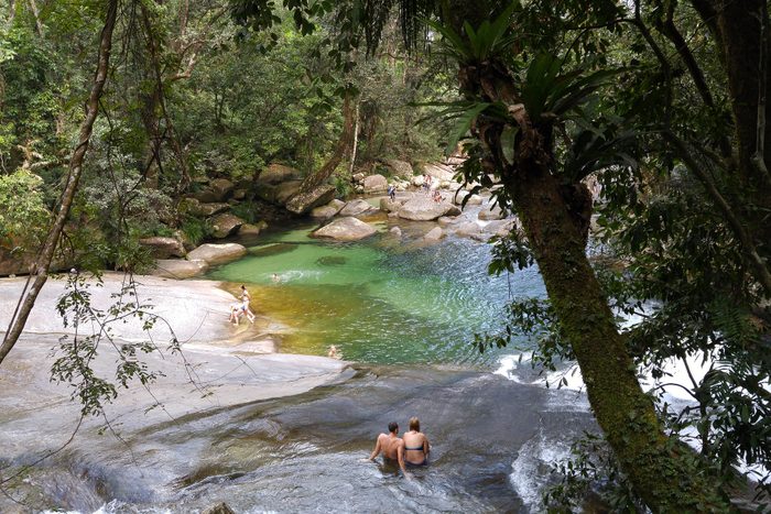 Rainforest Swimming Hole