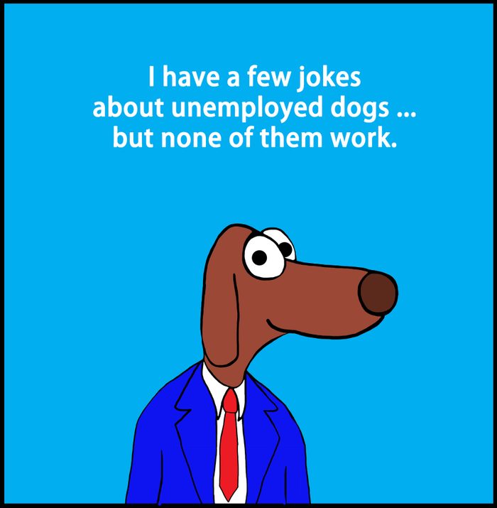 Unemployed Dogs