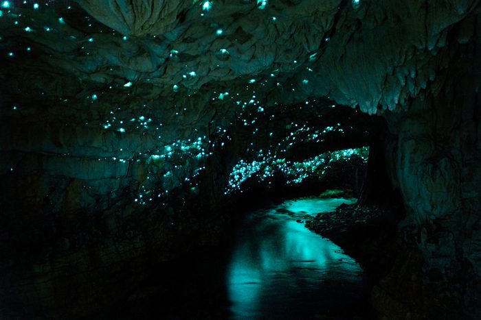 Famous glowworm cave, New Zealand