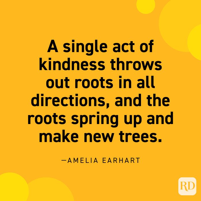 “A single act of kindness throws out roots in all directions, and the roots spring up and make new trees.” —Amelia Earhart