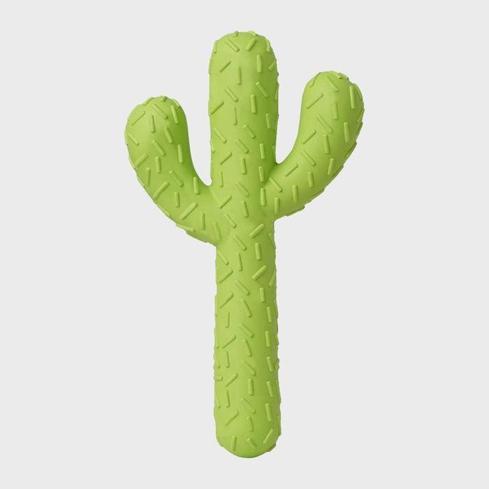 Mewajump Cactus Chew Toy
