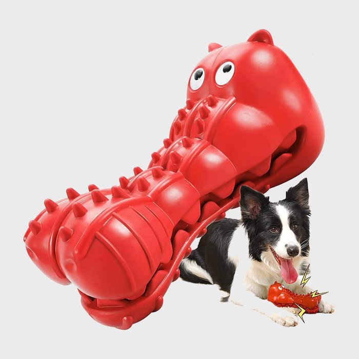 Rmolitty Squeaky Dog Toy