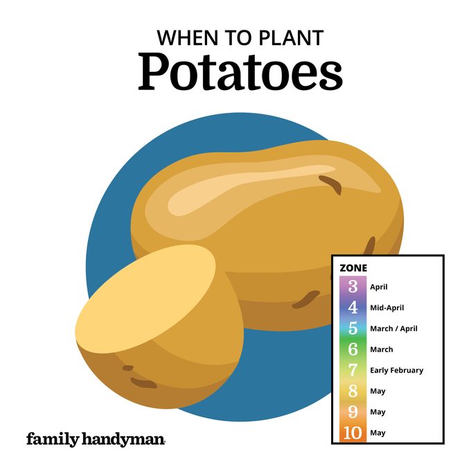 when to plant potatoes. chart and illustration.