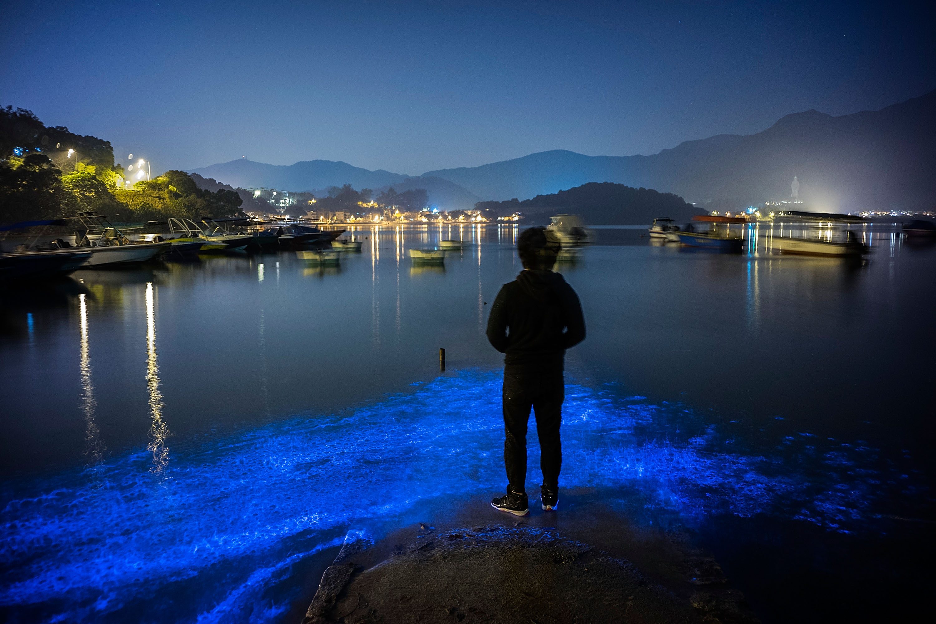 Blue Glow Appears On Hong Kong's Shores
