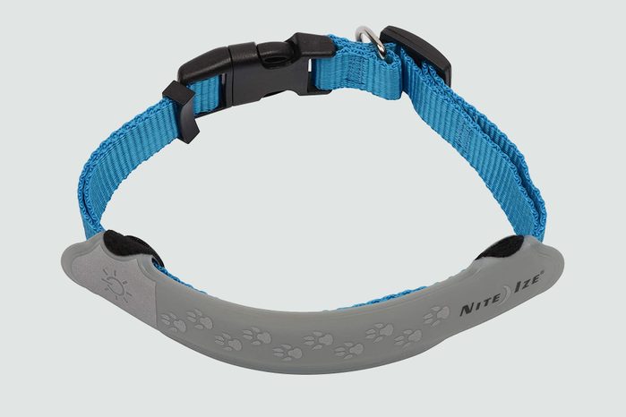 Glow-in-the-dark or reflective collars