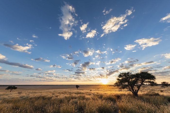 Africa, Botswana, Kgalagadi Transfrontier Park, Mabuasehube Game Reserve, Mabuasehube Pan at sunrise