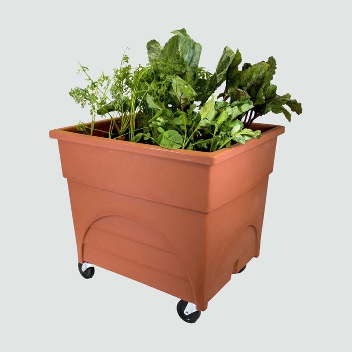 Emsco Group Root Vegetable Raised Bed Grow Box