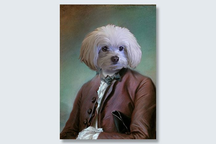 ambassador pup dogeface pet portrait