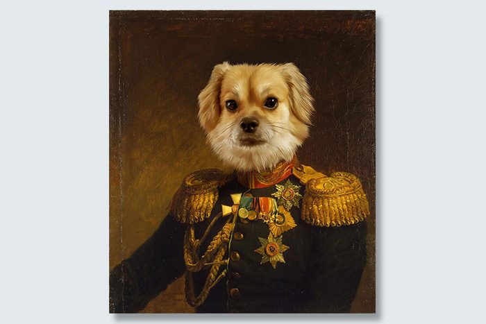 general fluff dogeface pet portrait