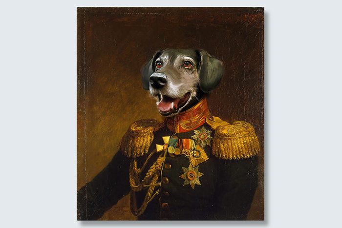 medals for treats dogeface pet portrait