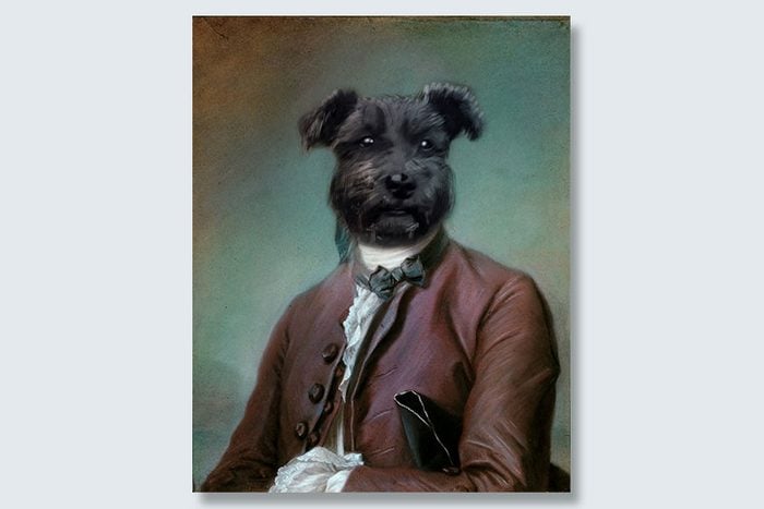ambassador scruff dogeface pet portrait