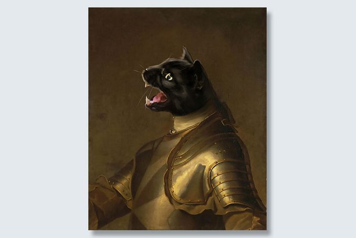 black cat knight dogeface pet portrait