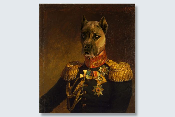 tough general dogeface pet portrait