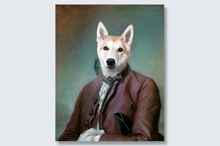 sweetest ambassador dogeface pet portrait