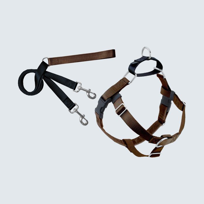 2 Hounds Design Freedom No Pull Dog Harness & Leash