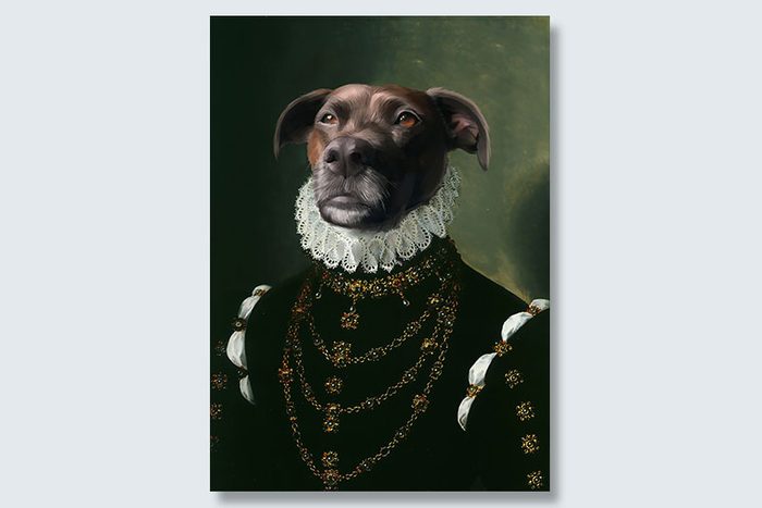 the dame dogeface pet portrait