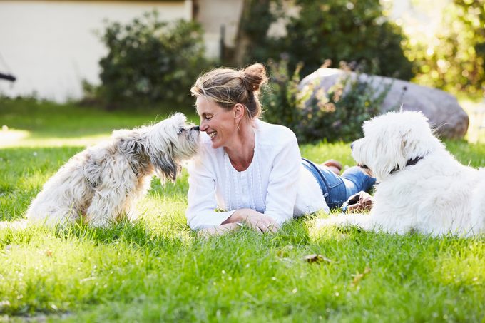 woman laying on grass with dogs smiling