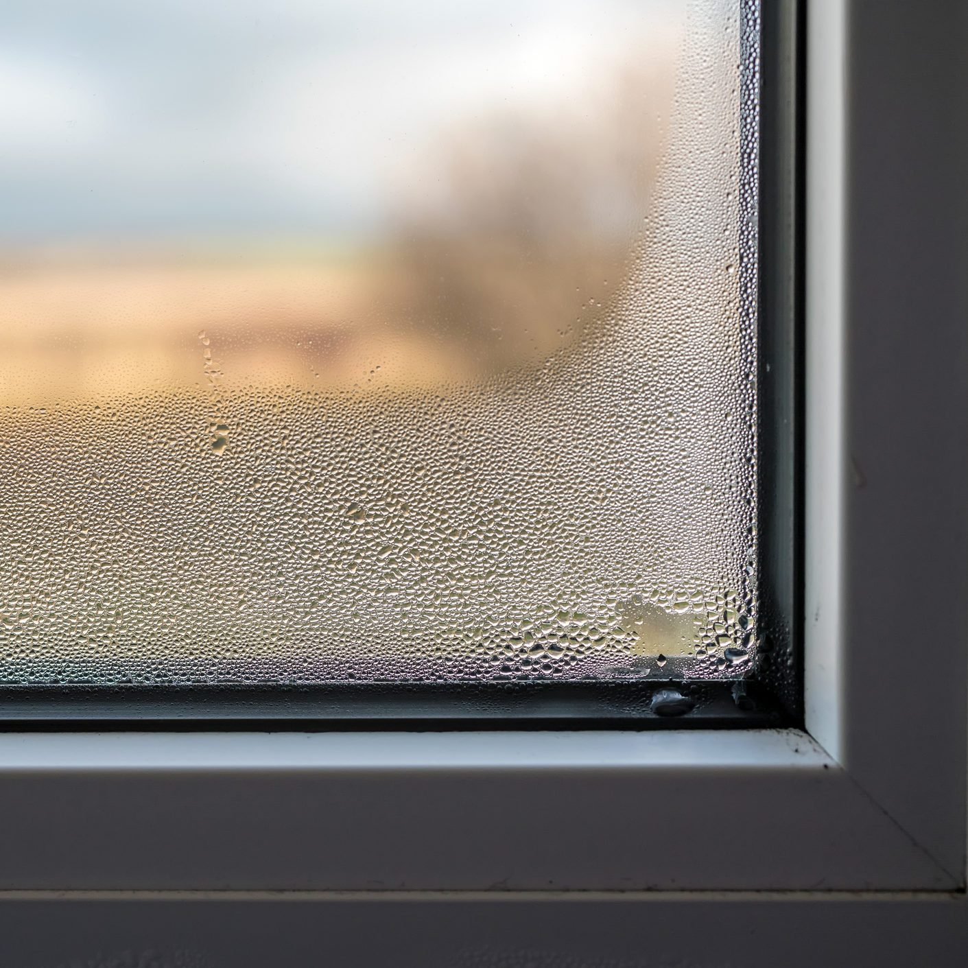 Mold formation through fogged window pane due to poor ventilation of the room