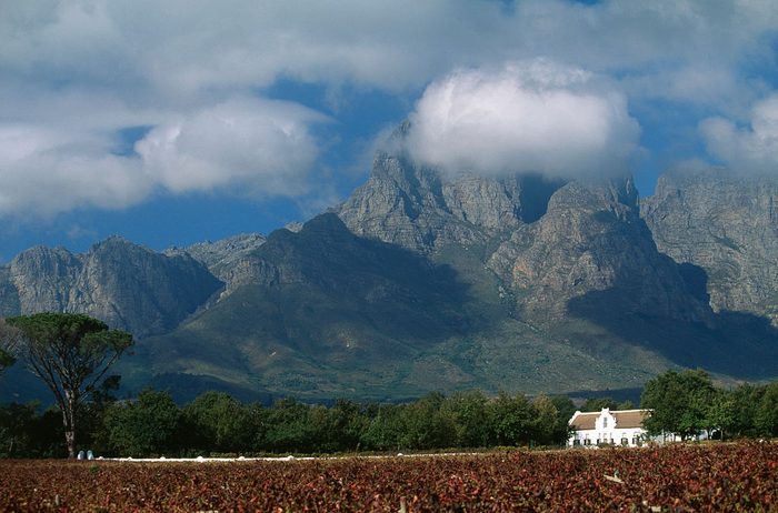 South Africa - Wine Route