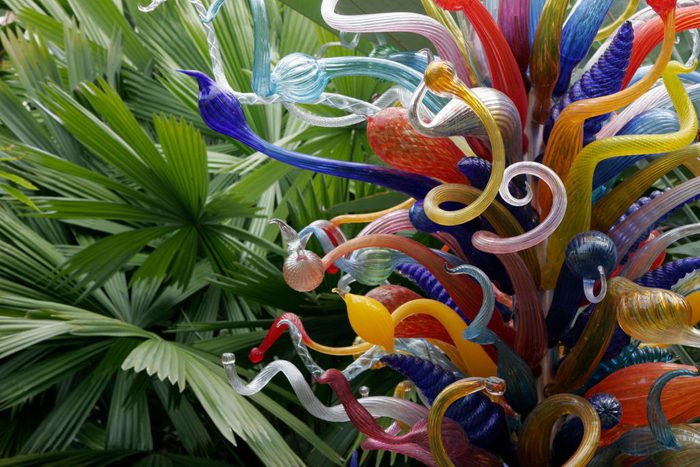 Chihuly glass art at Fairchild Tropical Botanic Garden
