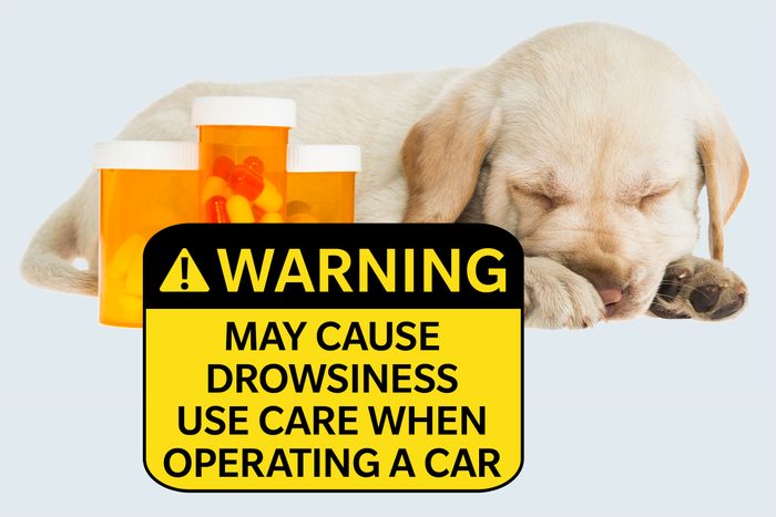 dog sleeping next to medicine bottles. warning: may cause drowsiness, use care when operating car.