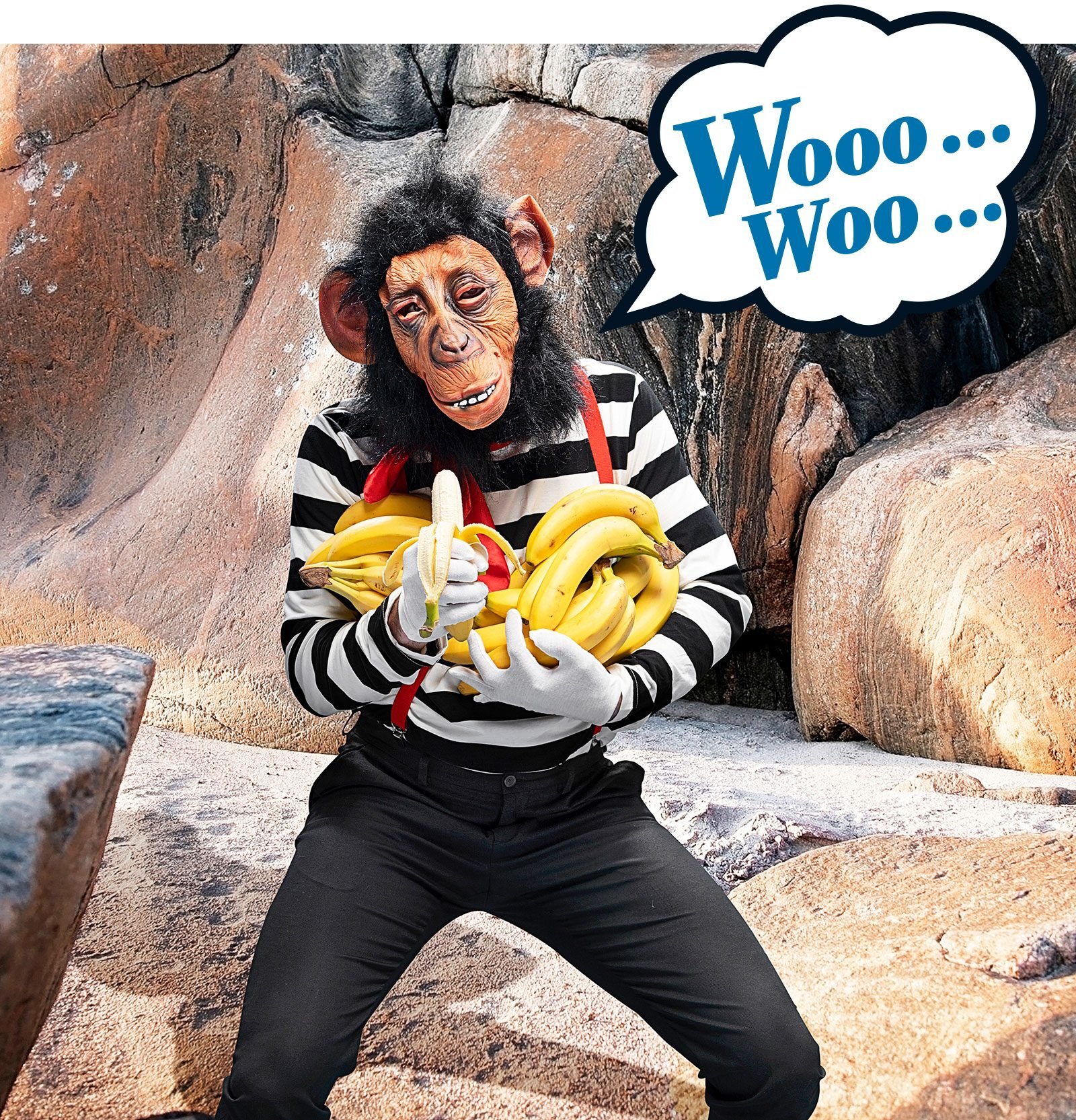 a monkey in a mime outfilt holding bunches of bananas
