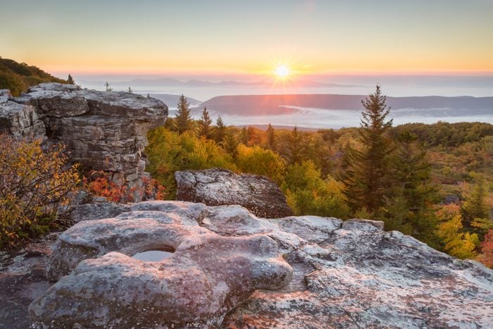 Sunrise at west Virginia's Dolly Sods Wilderness and Recreation Area