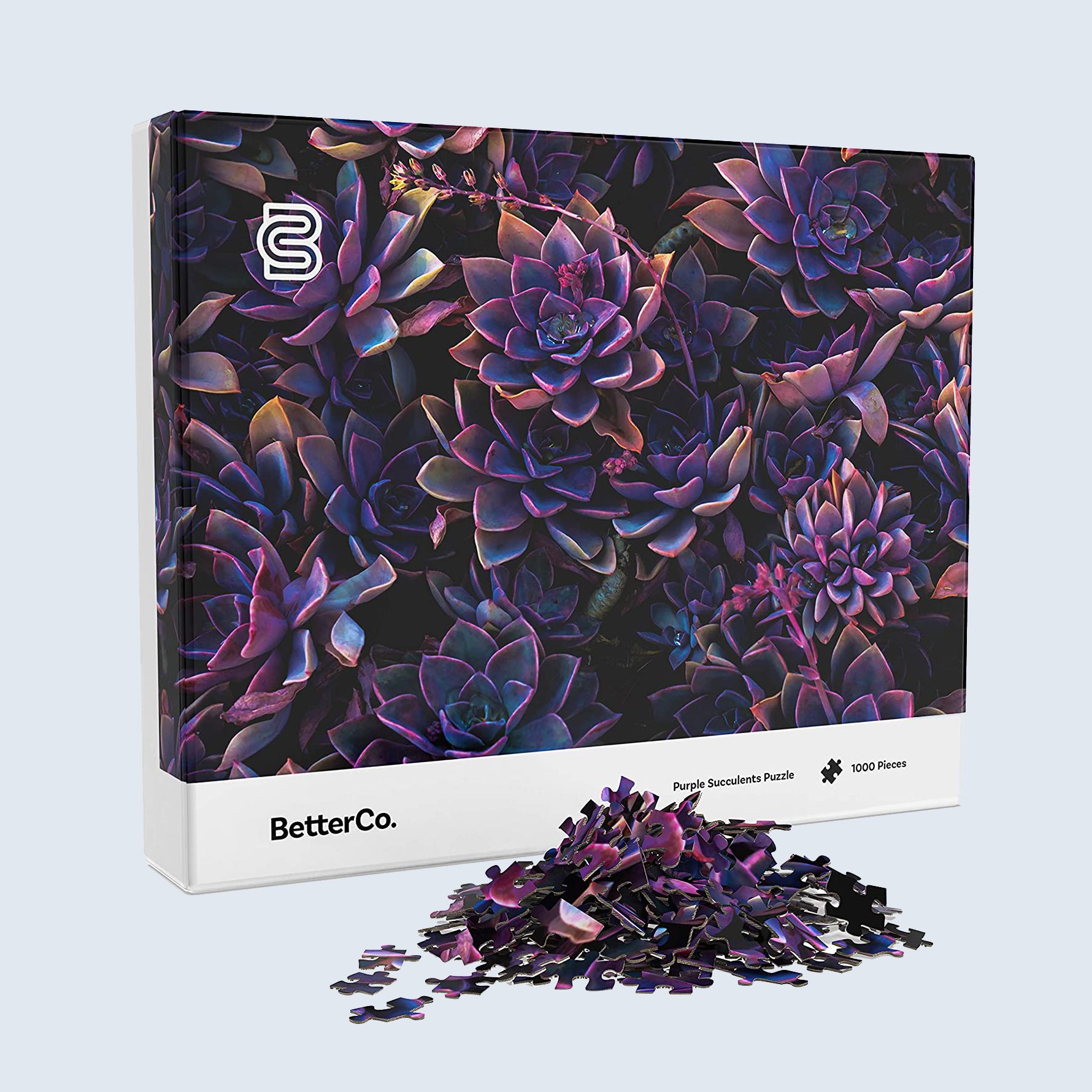 Purple Succulents puzzle
